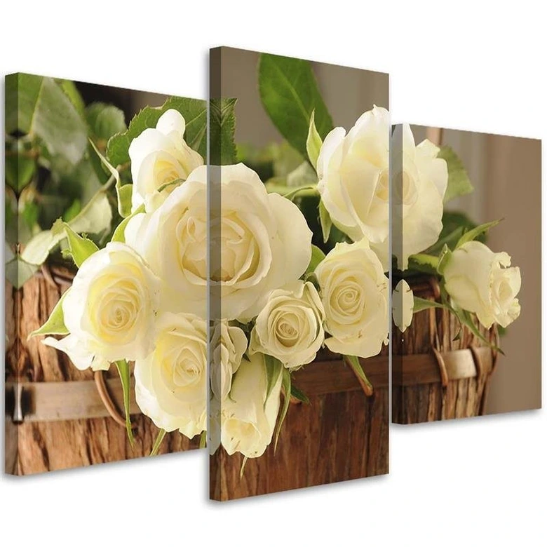 Leinwandbild 3-teilig, Weiße Rosen 