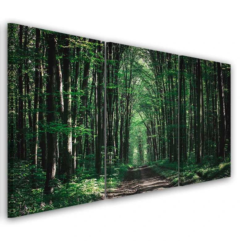 Leinwandbild 3-teilig, Waldgrün Natur 