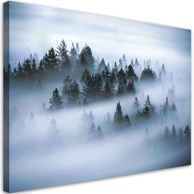 Leinwandbild, Wald im Nebel 
