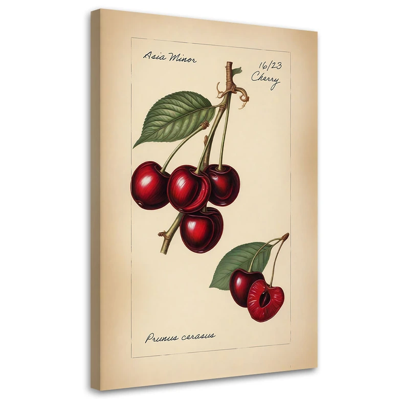 Leinwandbild Obst Weinlese Kirsche 