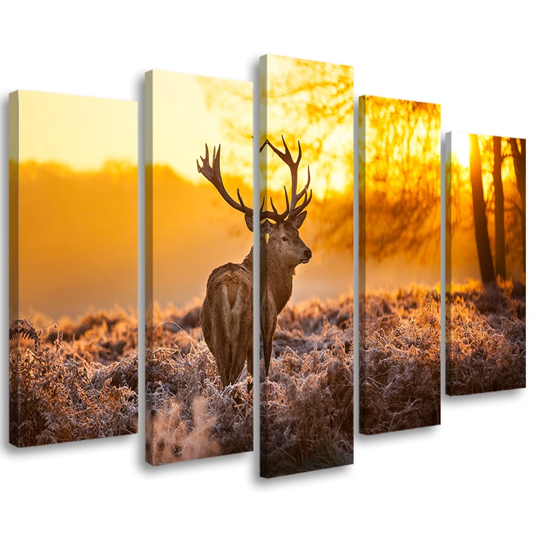 Leinwandbild 5 teilig, Hirschwald Sonnenuntergang 