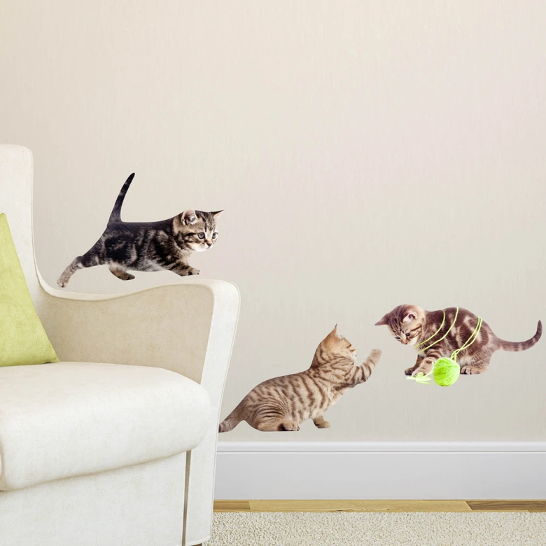Wandtattoo  Real Baby Cats Set 02 