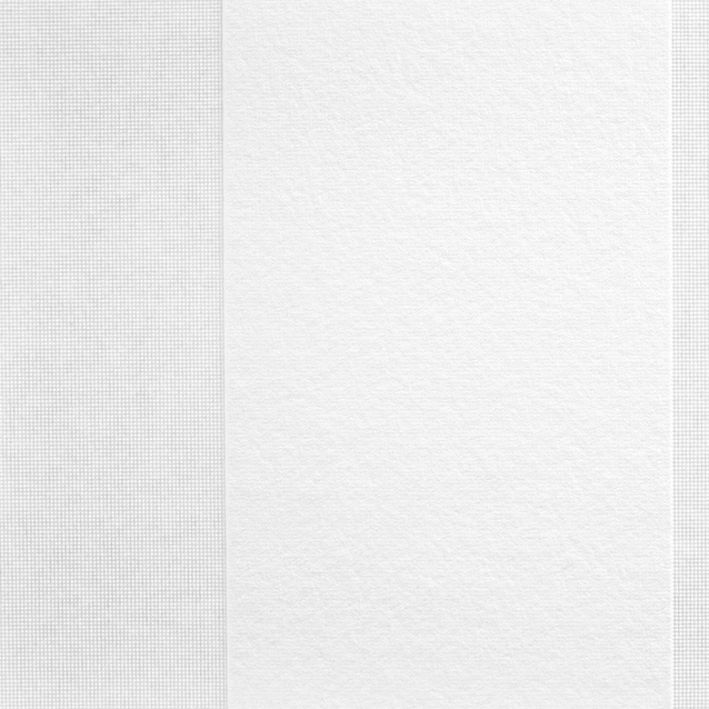 Papier peint intissé couvrant A.S. Création Meistervlies Pro Protect 2 blanc, couvrant  
