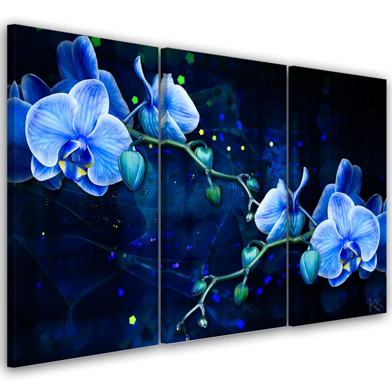 Leinwandbild 3 teilig, Blaue Orchideenblume 