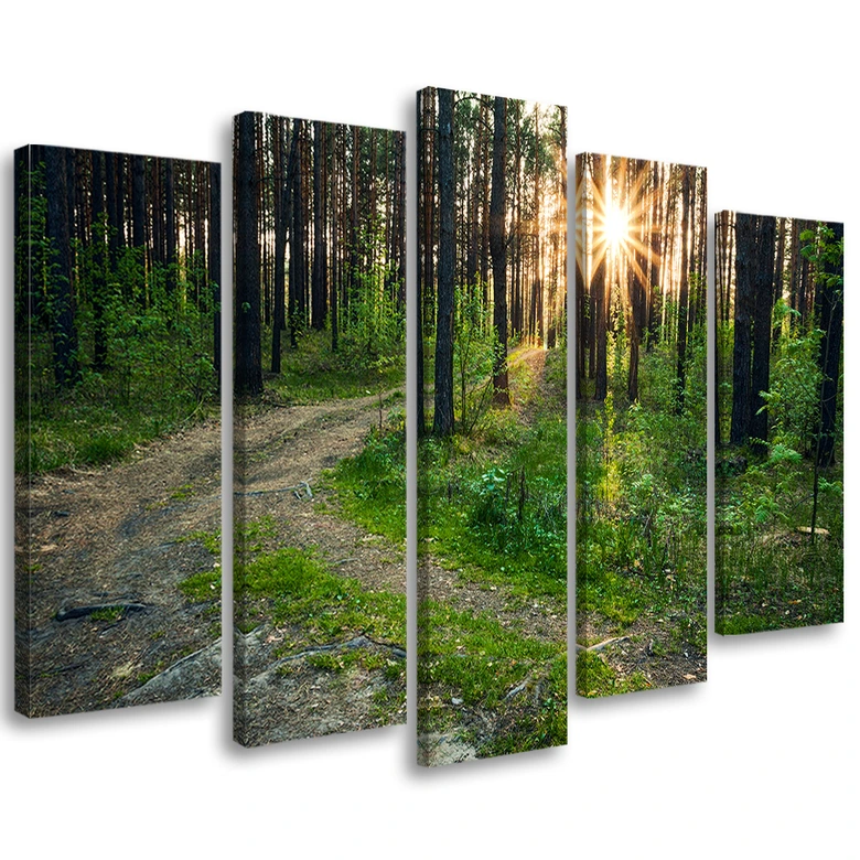 Leinwandbild 5 teilig, Wald Natur Straße Landschaft 