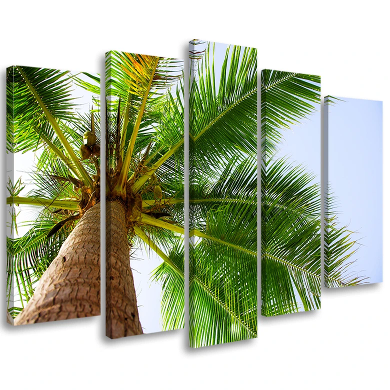 Leinwandbild 5 teilig, Palme Meer Strand 