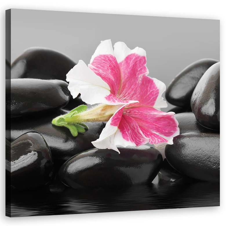 Leinwandbild, Rosa Blume auf Zen Stones 