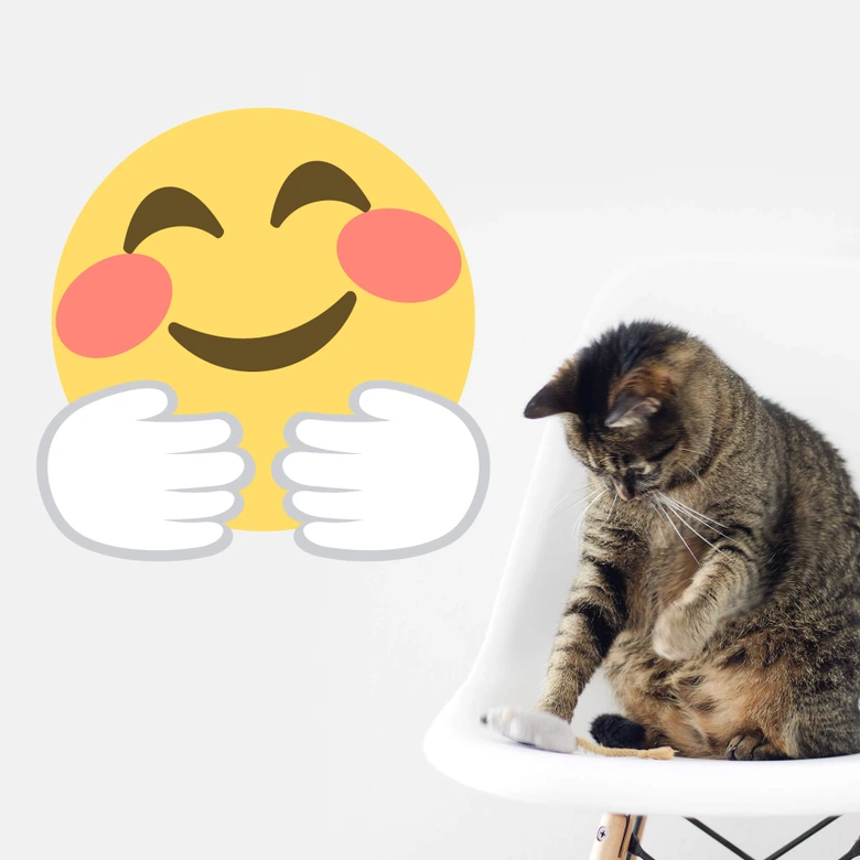 Wall Sticker Emoji Hugging Face 