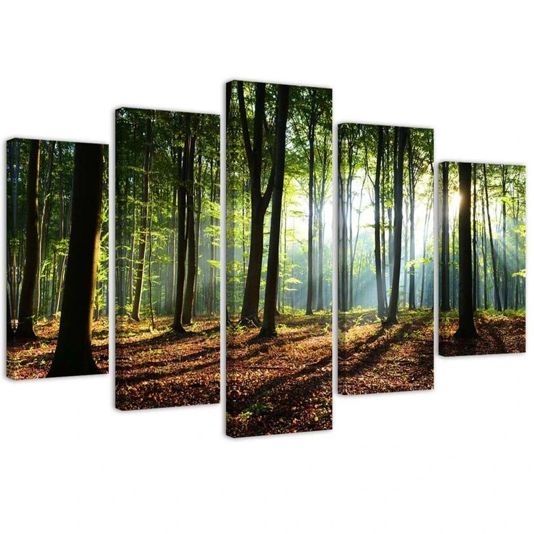 Leinwandbild 5 teilig, Waldgrün Natur 