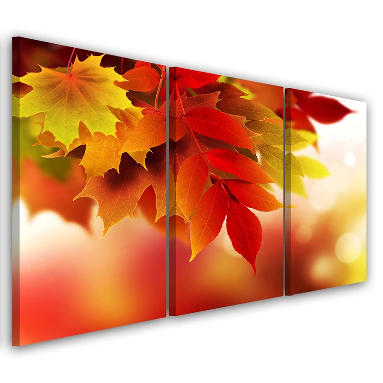 Leinwandbild 3-teilig, Herbstblätter Natur 