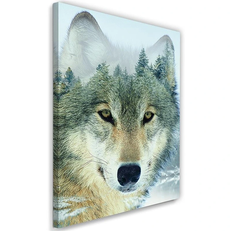 Leinwandbild, Wolf in einem Wald Hintergrund 