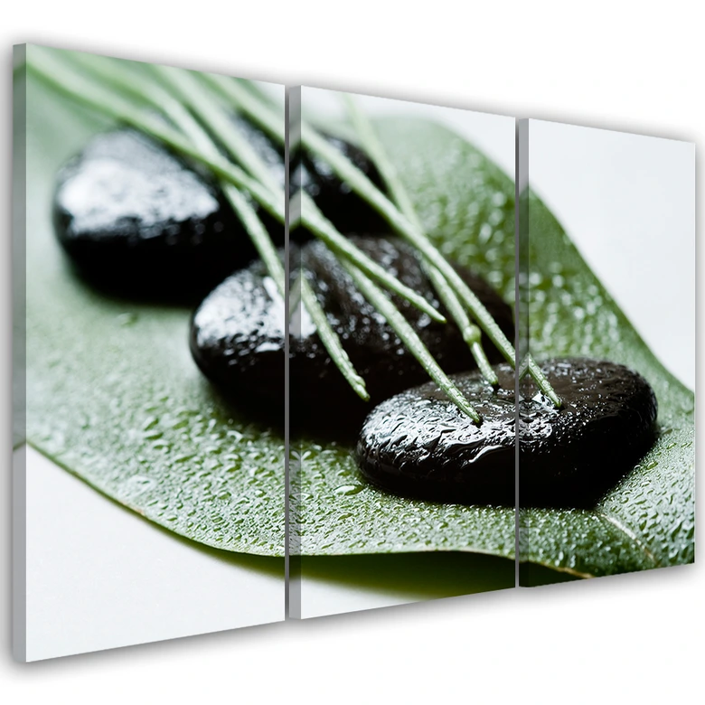 Leinwandbild 3-teilig, Steine Laub Natur Zen 