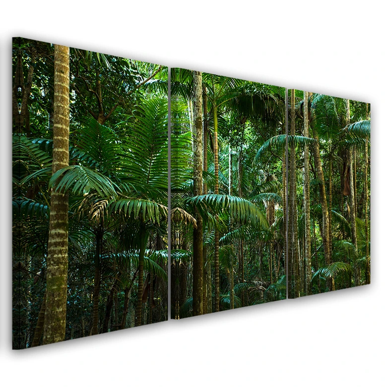 Leinwandbild 3-teilig, Regenwald Natur 
