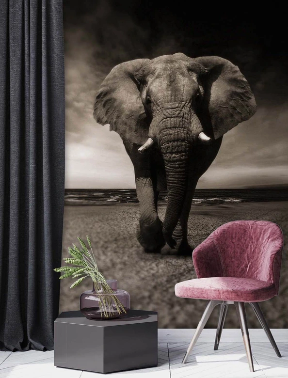 Fototapete, Elefant Tier Afrika 
