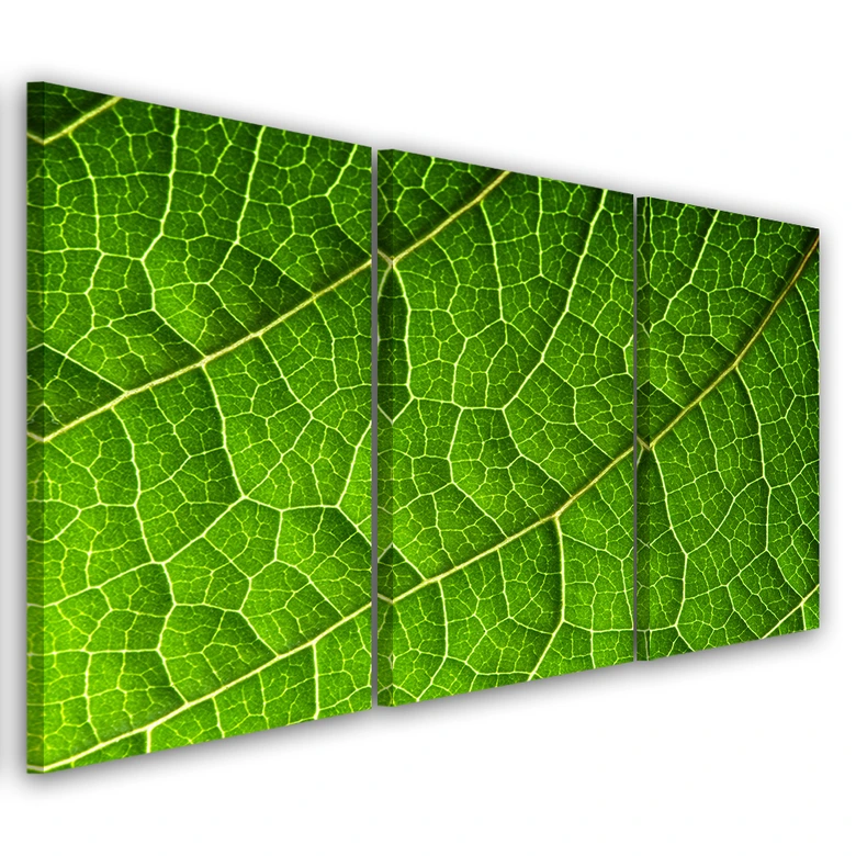 3-delige canvas print, groene bladeren natuur 