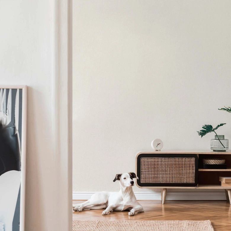 Carta da parati Unit bianca - Carta da parati in tessuto non tessuto tinta unita - A.S. Création 