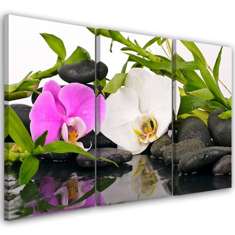 Leinwandbild 3-teilig, Zen Blumen Bambus Stein 
