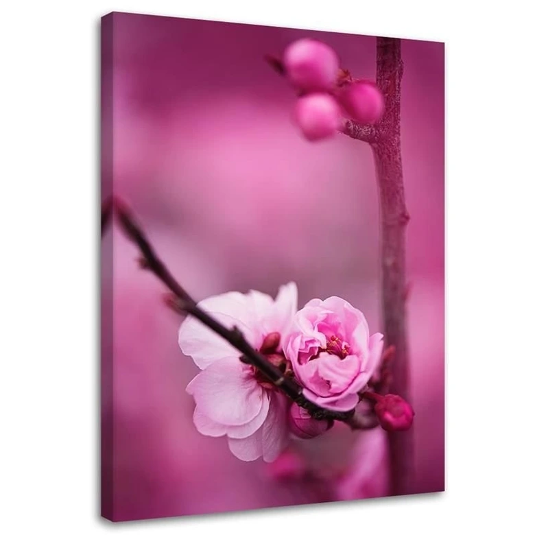 Canvasbillede, Lyserøde blomstrende planter 