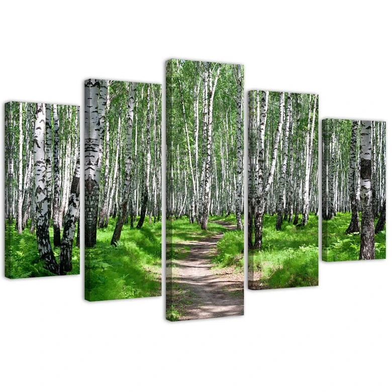 Leinwandbild 5 teilig, Birkenwald Natur 