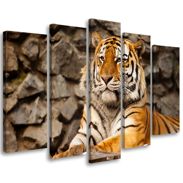 Canvas print 5 stuks, Afrika tijger dieren 