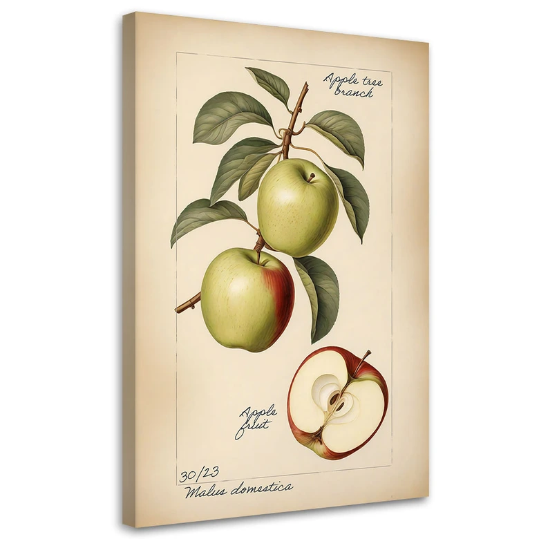 Leinwandbild Obst Weinlese Apfel 