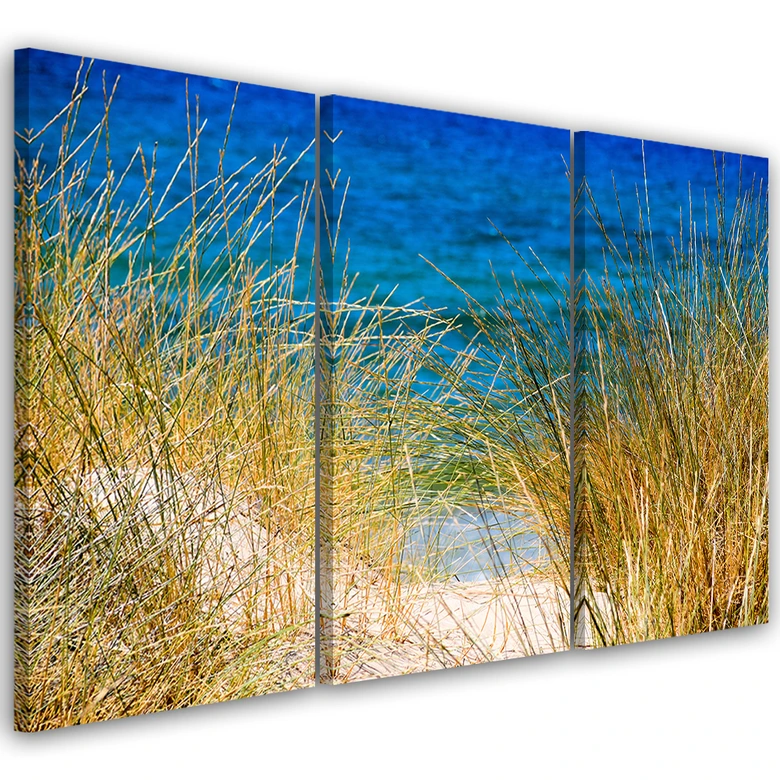 Leinwandbild 3-teilig, Gras Meer Strand 