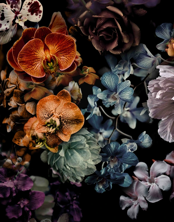Fotomurale con motivo floral oscuro ramo de flores en negro con orquídeas 2,7 x 2,12 m 