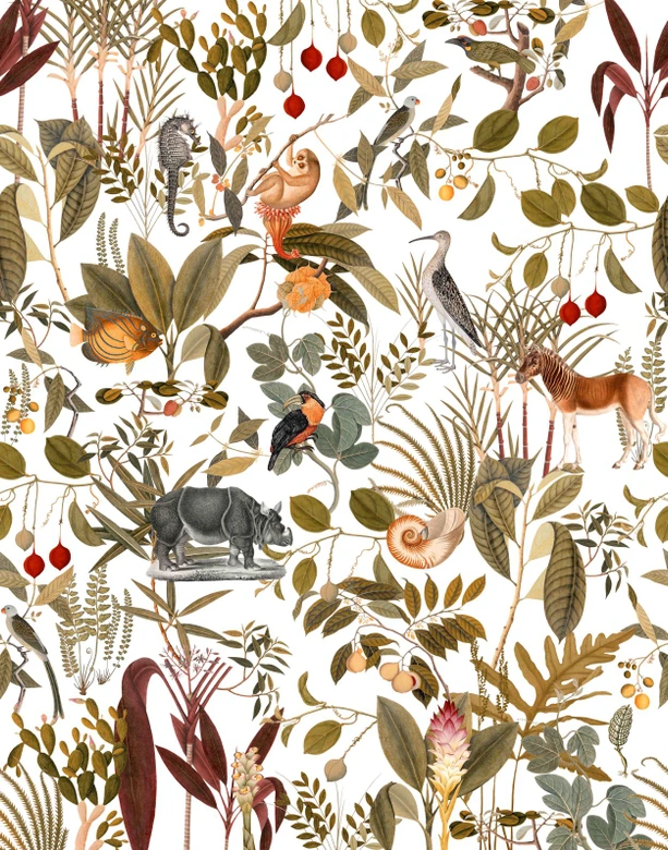 Fototapete Motivtapete Safari Collage mit Okapi, Nashorn und Vögeln auf hellem Grund 2,7 x 2,12 m 