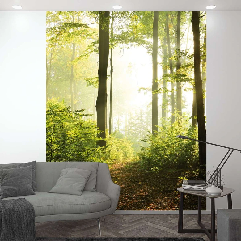 Forest at sunset Wallpaper Photo Wallpaper Green,Flower 2,70 x 2,12 m 