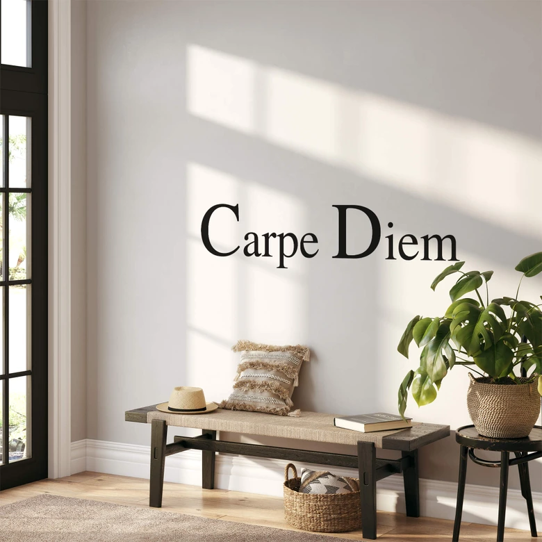 Carpe Diem 2 Wall sticker 
