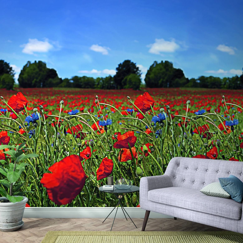 Bloemenweide en blauwe lucht behang Rood, Groen, Bloemig 2.70 x 1.59 m 