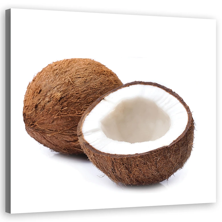 Leinwandbild, Kokosfrucht 
