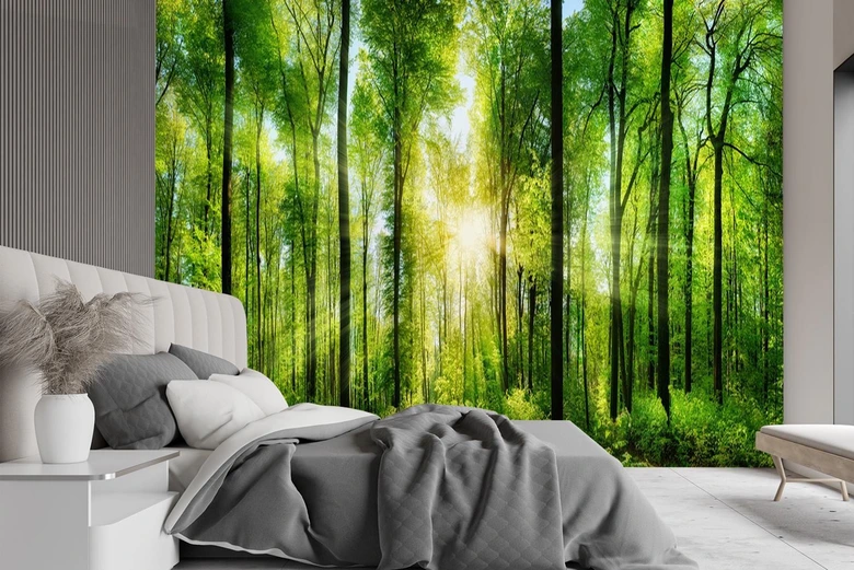 Fototapete, Sonnenstrahlen im Wald 