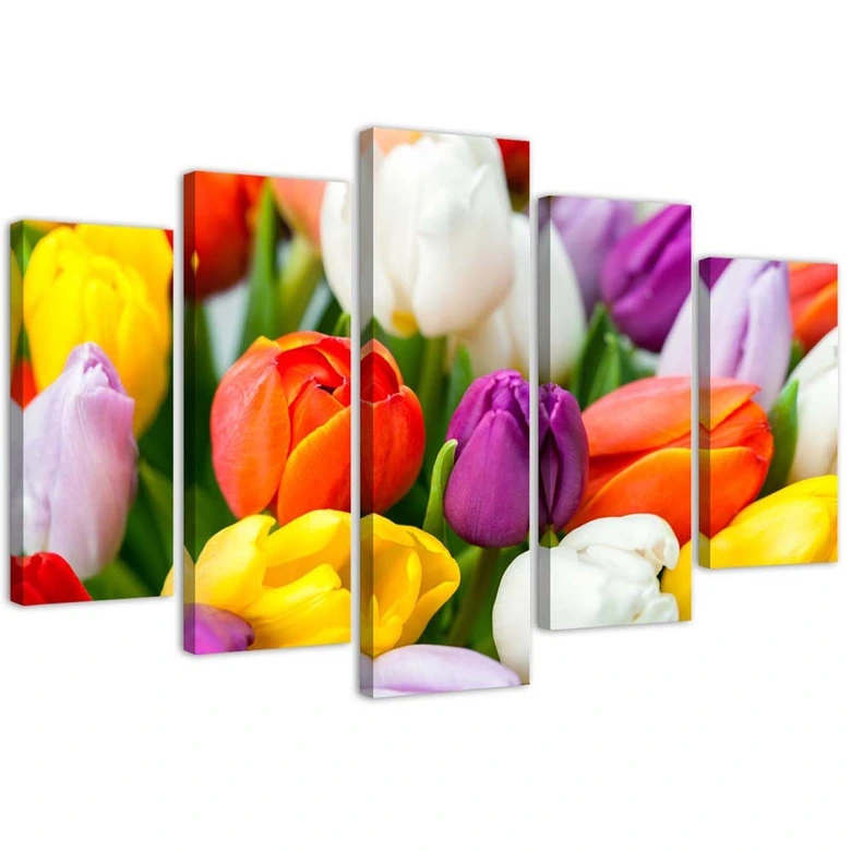 Leinwandbild 5 teilig, Bunte Tulpen Blumen 