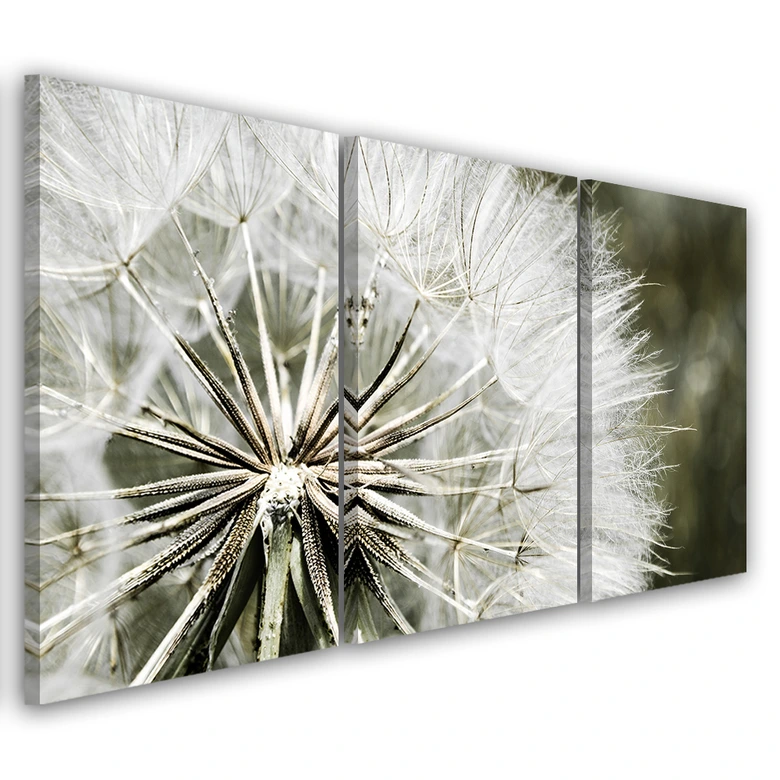 Leinwandbild 3-teilig, Gebläse Weiße Blumen 