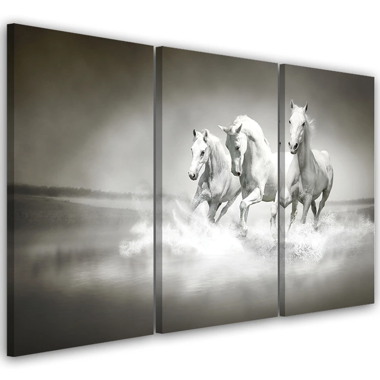Leinwandbild 3-teilig, Galopp der weißen Pferde 