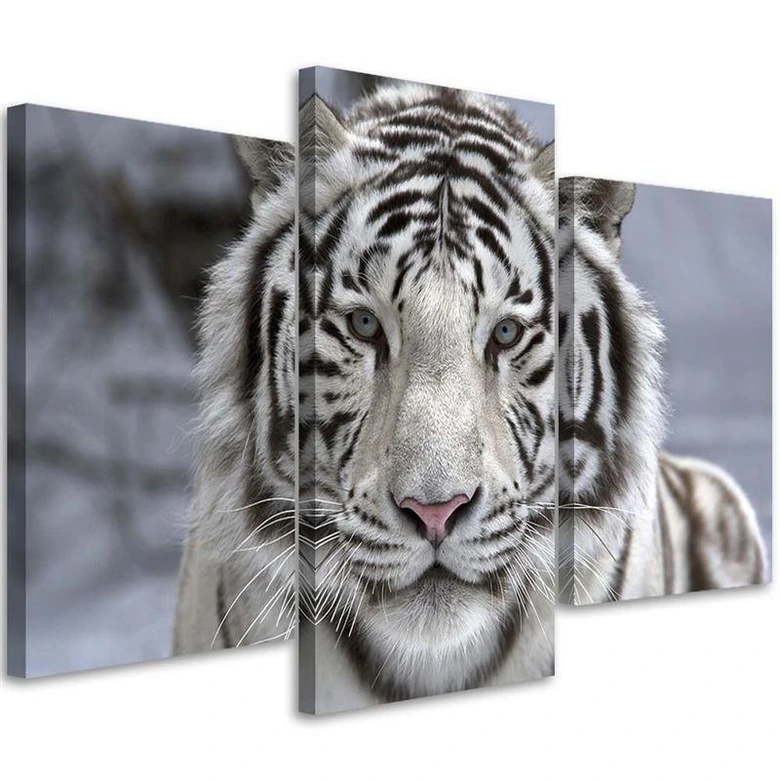 3-delige canvas print tijger wild dier zwart en wit 