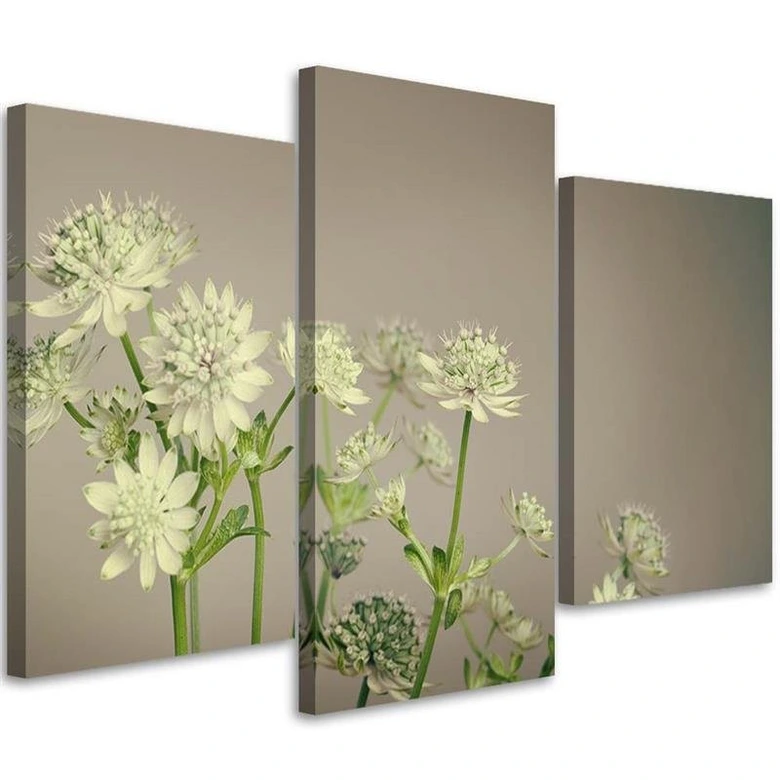 Leinwandbild 3-teilig, Feld Blumen Weiß 