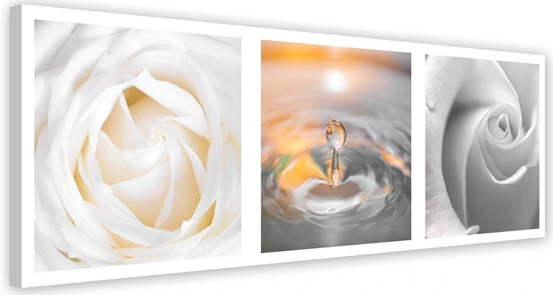 Leinwandbild, Rose Blumen mit Tropfen 