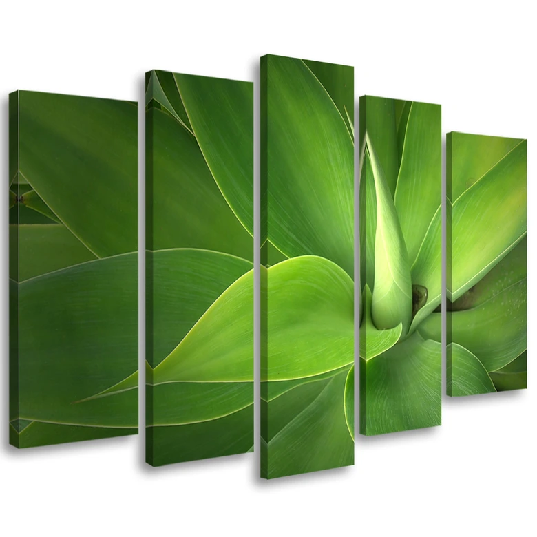 5-delige canvas print groene bladplanten 