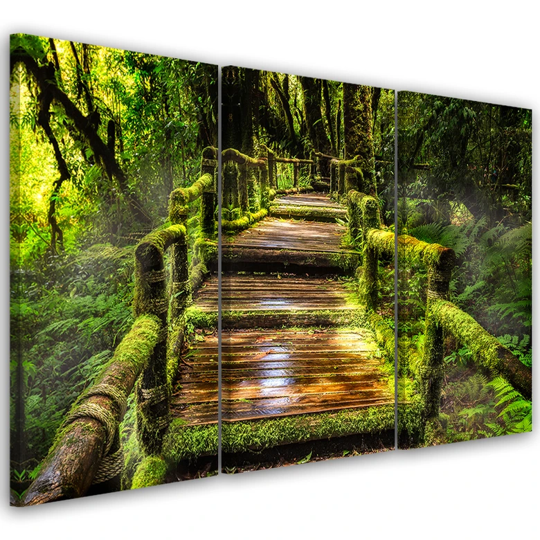 Leinwandbild 3-teilig, Waldweg Natur Grün 