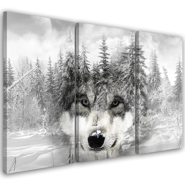 Leinwandbild 3-teilig, Wolf Wald Natur Grau 