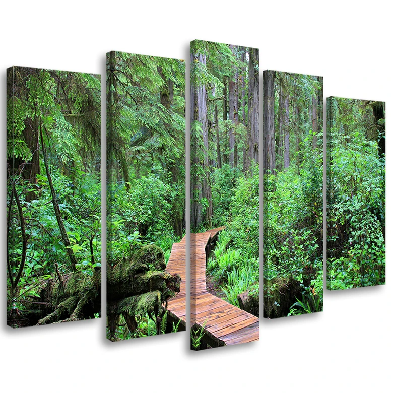 Leinwandbild 5 teilig, Regenwald Steg 