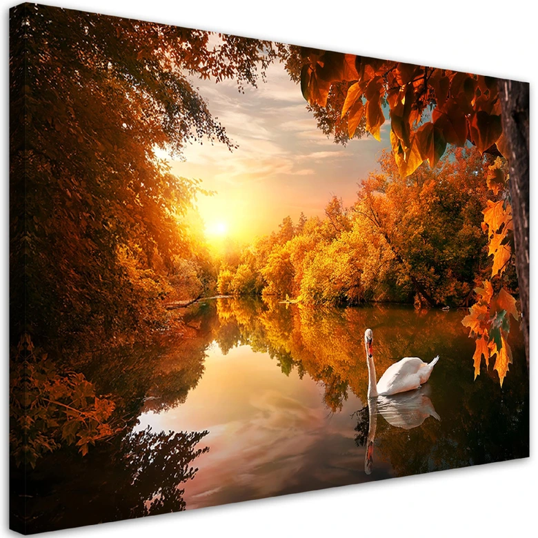 Leinwandbild, Schwan auf dem Teichherbst 