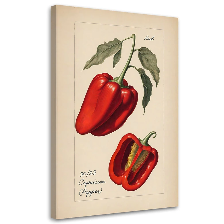 Leinwandbild, Gemüse Weinlese Paprika 