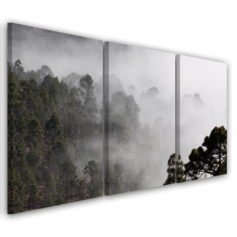 Leinwandbild 3-teilig, Wald im Nebel 