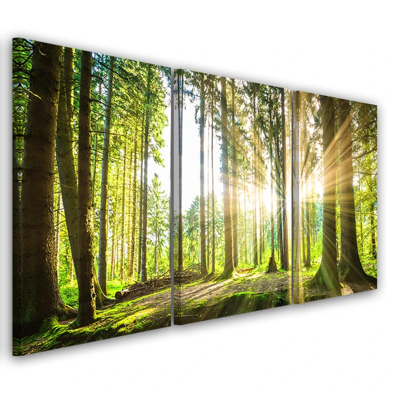 Leinwandbild 3-teilig, Wald Bäume Natur 
