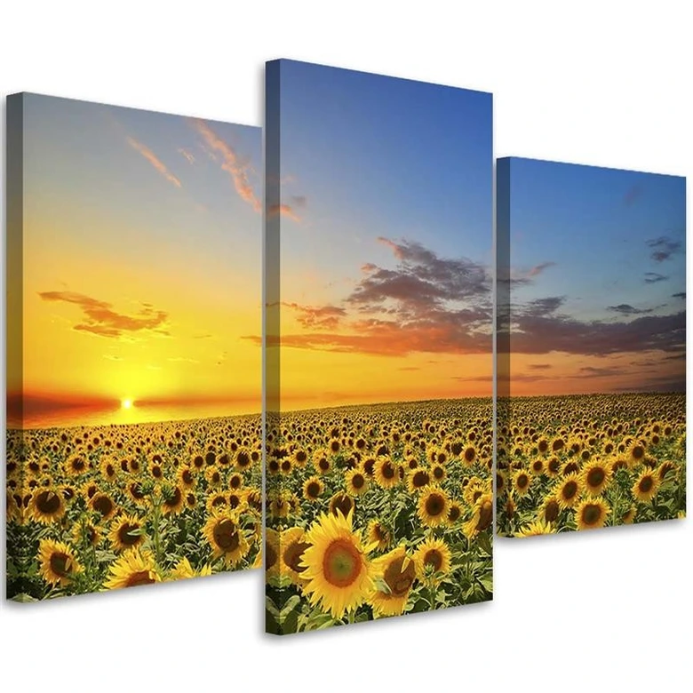 3-delige canvas print, zonnebloemen bloemenweide 