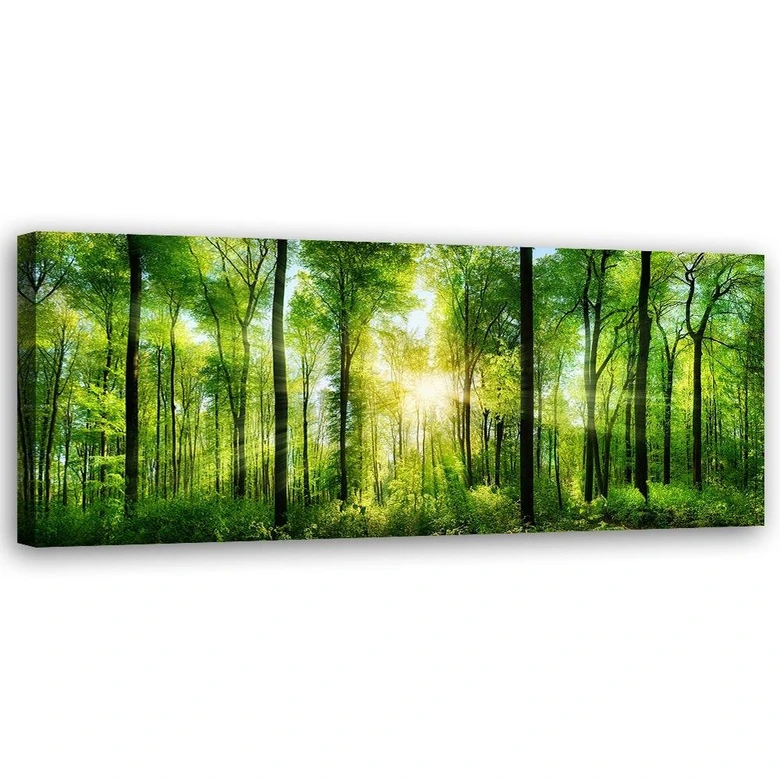Leinwandbild, Sonnenschein im Wald Landschaft 