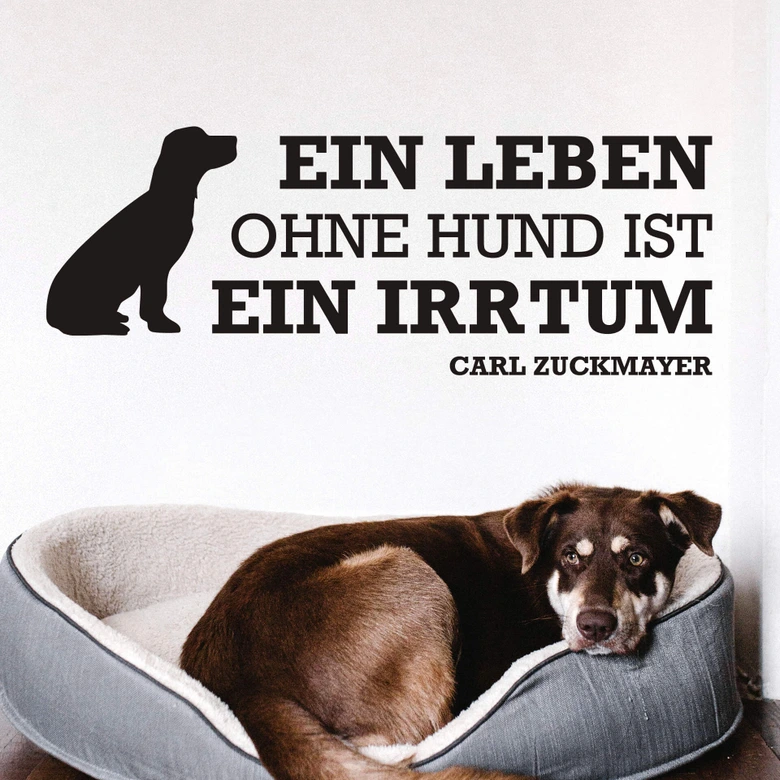 Wandtattoo Ein Leben ohne Hund... 